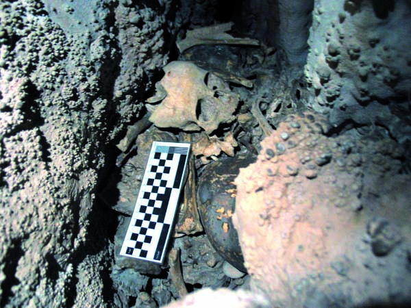Algúns dos restos humanos da Idade do Bronce atopados na Cova do Santo de Pardollán (Rubiá)./ Foto: Olalla López-Costas.